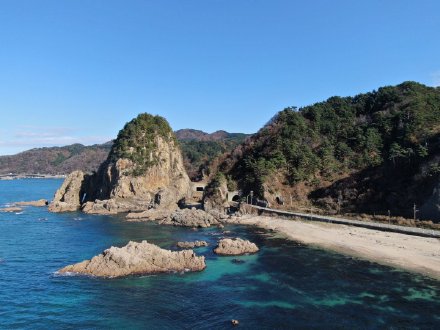 感谢张女士信任，报名日本短期培训转工签。